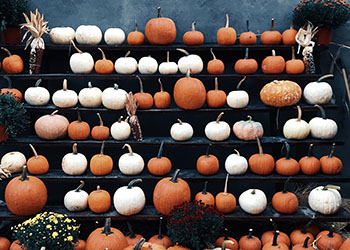 Fall Pressure Washing Tips Asheville, NC