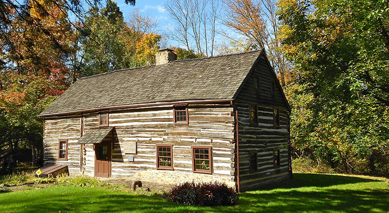 allergy-2 image house in the woods