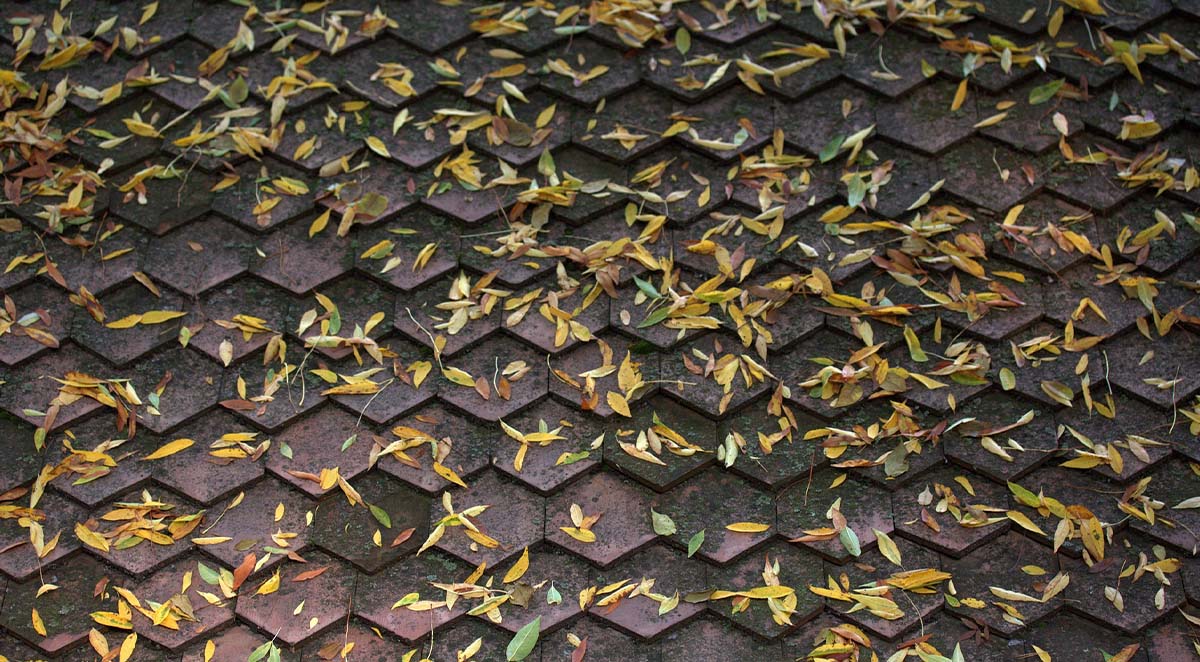 dont leave leaves roof