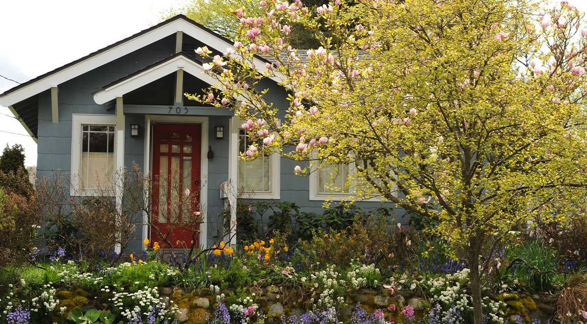 220c08548cac211cc7db219bb52f46cf Blog - Mobile Magic | Items 40-43 | Asheville NC Pressure Washing