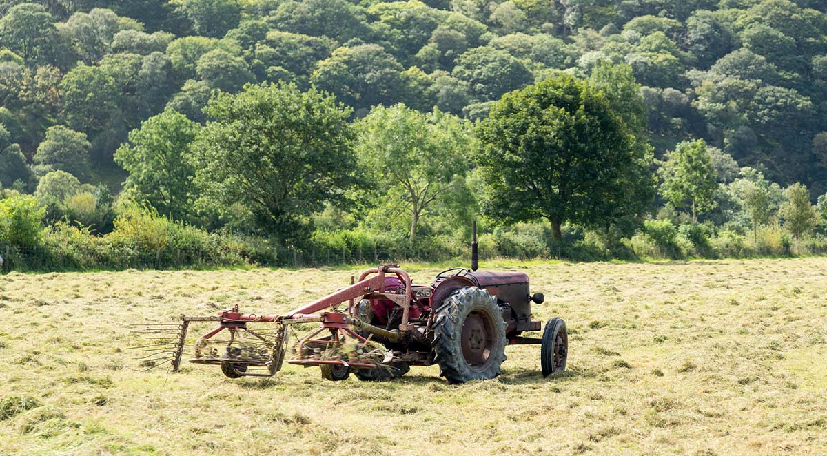 339a0e1449b6b4062056bc300d87e893 Blog - Mobile Magic | Items 36-39 |Asheville NC Pressure Washing
