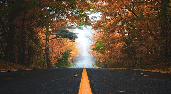 36fdb1a35cd2f54f95cf2119fb5bc7ed Blog - Mobile Magic | Items 57-60 | Asheville NC Pressure Washing