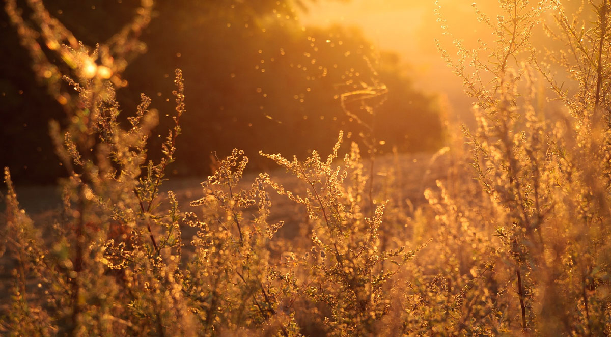 37a06e4a72d6cb27621f1ed829bbee81 Blog - Mobile Magic | Items 48-51 | Asheville NC Pressure Washing