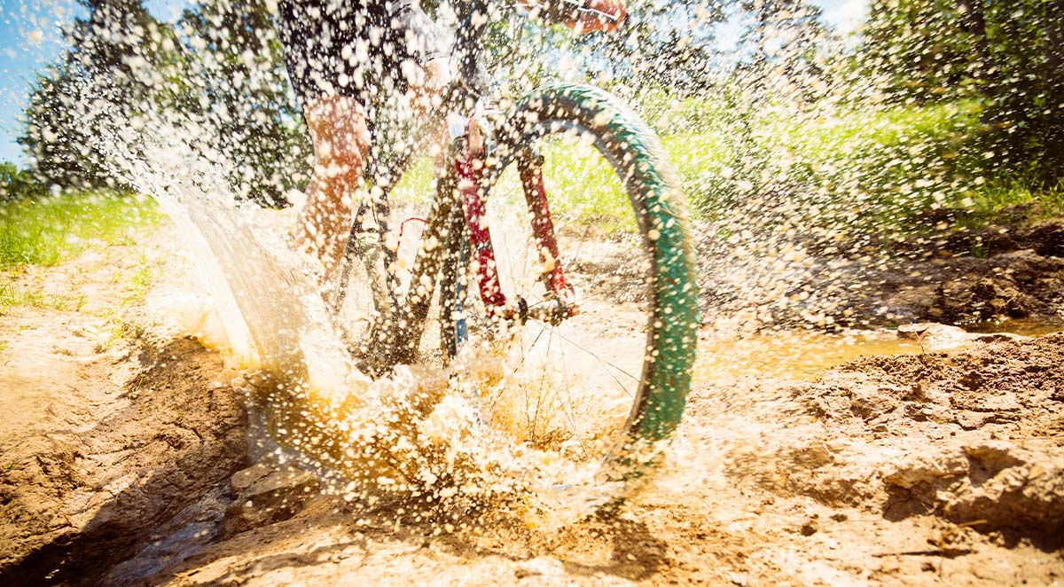 a522a6005d1cb428ea34ef1769cd7452 Blog - Mobile Magic | Items 44-47 | Asheville NC Pressure Washing