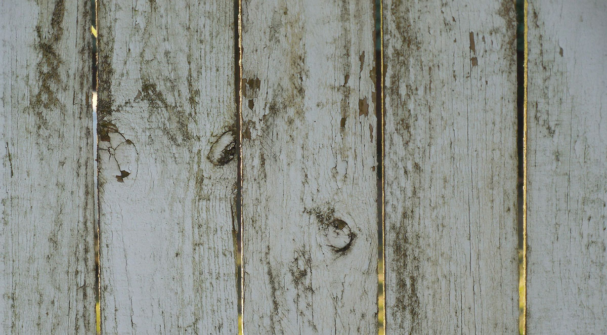 d3b3799d6611d677944f5f86a500beb3 Blog - Mobile Magic | Items 36-39 |Asheville NC Pressure Washing