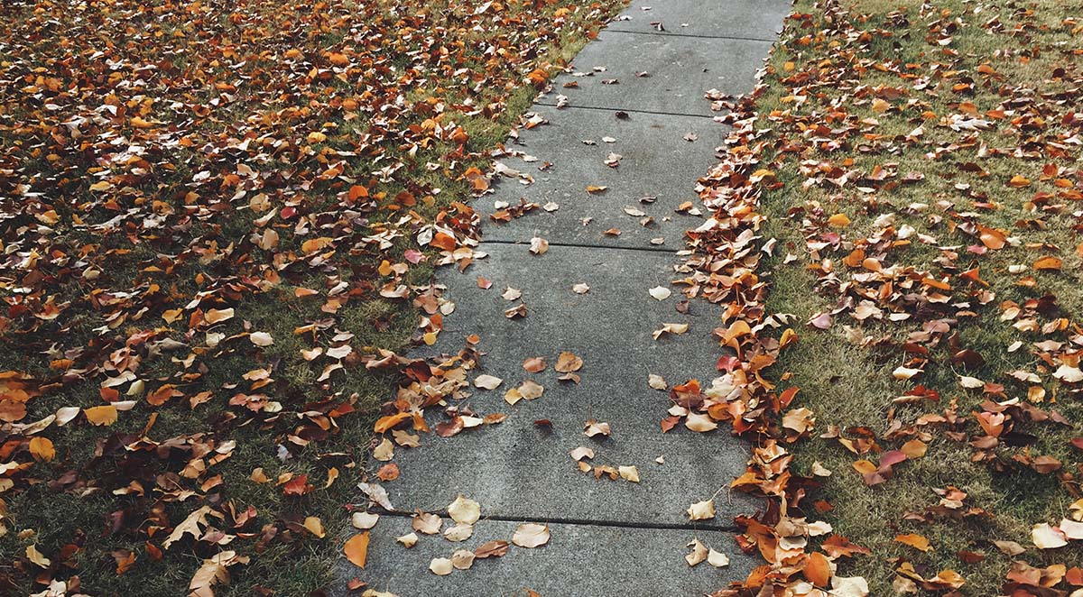 eb6c7c01c4e98e1f2578f9959463b973 Blog - Mobile Magic | Items 44-47 | Asheville NC Pressure Washing