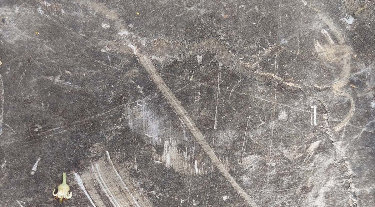 people do look at the sidewalk and parking lot